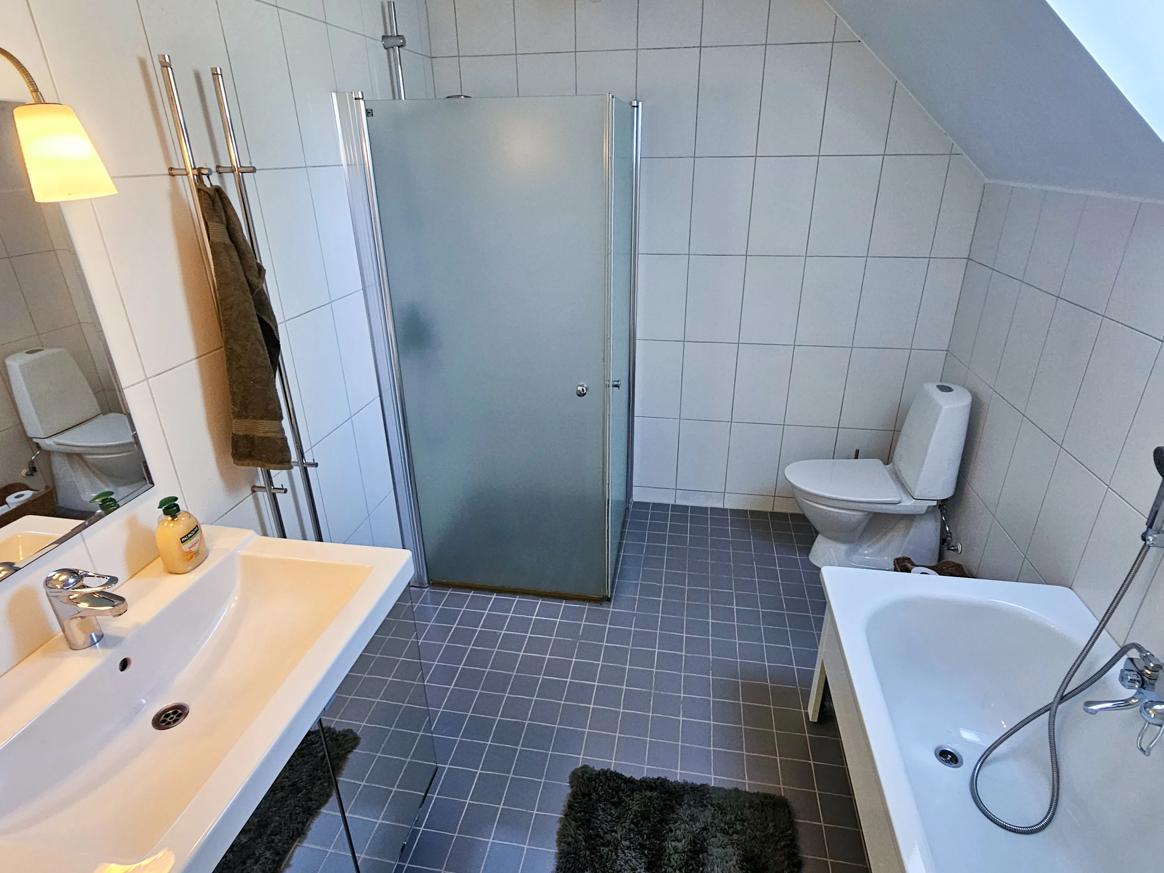 Badrum med dusch och badkar
